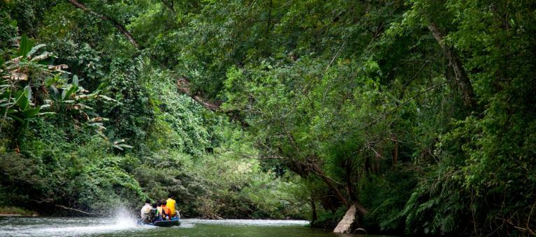 ecotourisme tiltionnaire