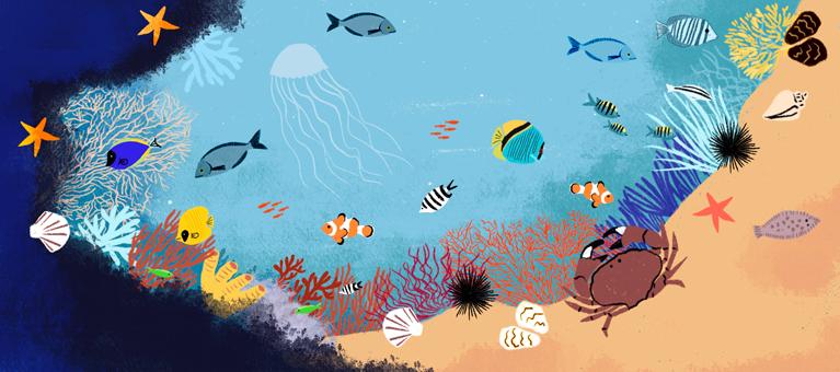 infographie interactions océan et climat